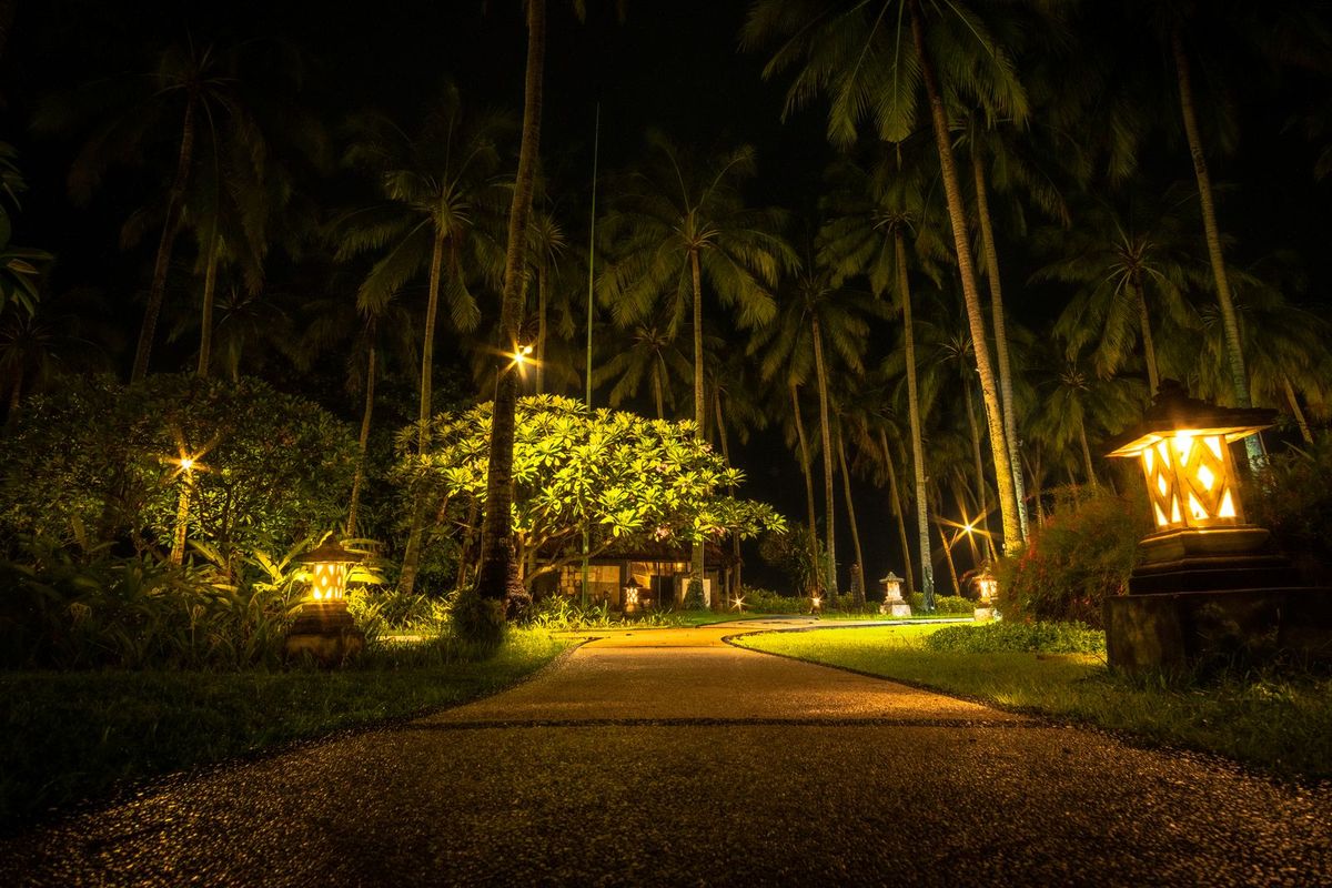 A garden path through palm trees lit by warm low lights at night